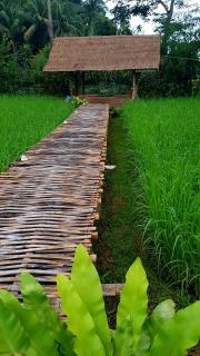 ฮ้างนาตาจันทร์ - Pua - 2