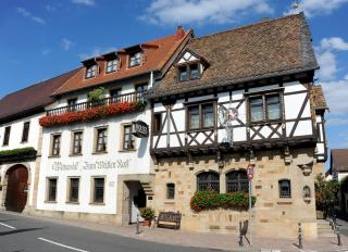 Weinkastell Zum Weissen Ross - Kallstadt - 4