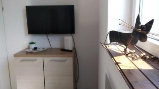 Studio Red Kot - Zielona Góra - 6
