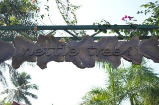 Nettle Trees Farm Stay - 6