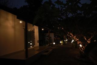 Nettle Trees Farm Stay - 3