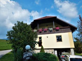 Apartment Ana - 8
