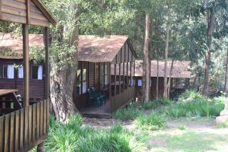 Plett Forest Cabins - Plettenberg Bay - 8