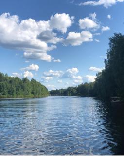 Arctic Resort Delight - 4