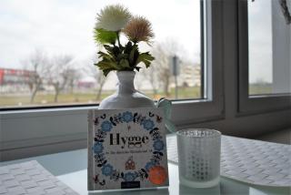 Ferienvermietung Fehmarn Hygge Südstrand WHG 62 - 010 - Fehmarn - 3