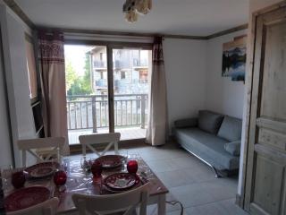Les 7 laux immobilier chalet F - Prapoutel - 0