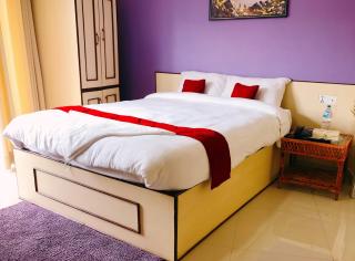 Hotel Tranquil - Kathmandu - 3