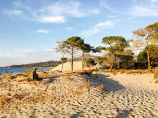 Camping Dolce Vita - Calvi - 0