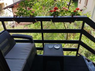Apartament Ferdinand - Sinaia - 2