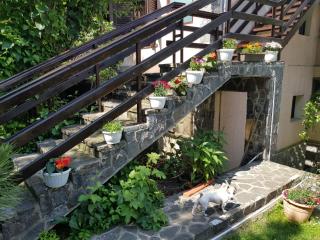 Apartament Ferdinand - Sinaia - 4
