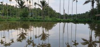 Leela Stay - Madikeri - 0