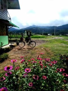 ชมนาโฮมสเตย์บ้านนาคำ - 3