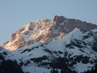 Hotel Alpina - Unterschächen - 4