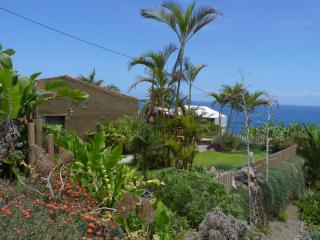 El Susurro Ecoliving VILLA GUINCHO - San Juan de la Rambla - 7