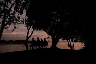 Pacaya Samiria Amazon Lodge - ALL INCLUSIVE - 2