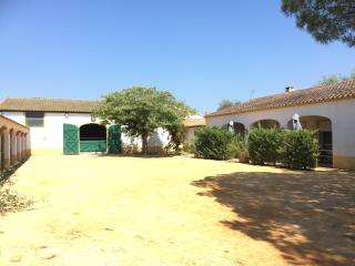 EL ROCIO 1 GITES EQUESTRE - Saintes-Maries-de-la-Mer - 2