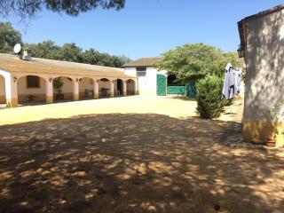 EL ROCIO 1 GITES EQUESTRE - Saintes-Maries-de-la-Mer - 3
