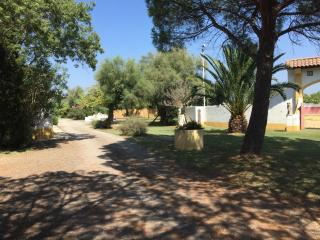 EL ROCIO 1 GITES EQUESTRE - Saintes-Maries-de-la-Mer - 1