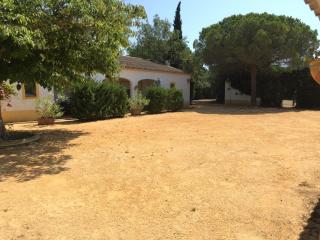 EL ROCIO 1 GITES EQUESTRE - Saintes-Maries-de-la-Mer - 4