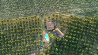 Domaine des pruniers - Valeilles - 0