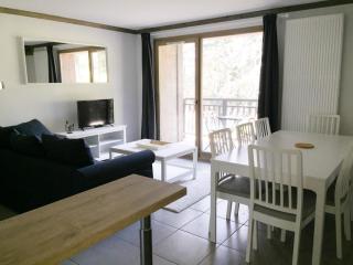 les 7 laux immobilier chalet E - Prapoutel - 6