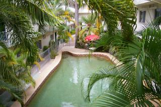Koala Beach Resort Cairns - Cairns - 1