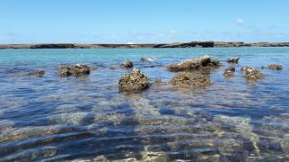 Dunes de Dovela eco-lodge - 8
