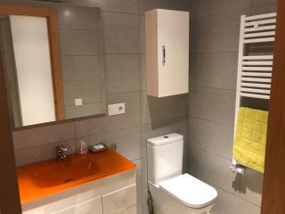 Apartaments Ca L'Albert - Pobla de Segur - 3
