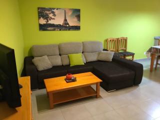 Apartaments Ca L'Albert - Pobla de Segur - 1