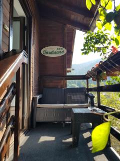 Apartament Ferdinand - Sinaia - 7
