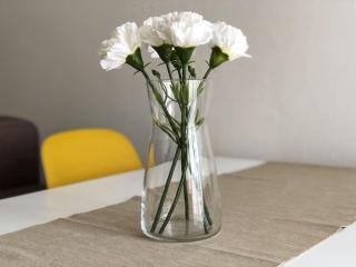 APPARTAMENTO ROSE E TULIPANI 5 - Negrar - 1