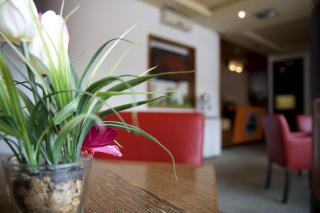 Gold Club Hotel & Casino - 2