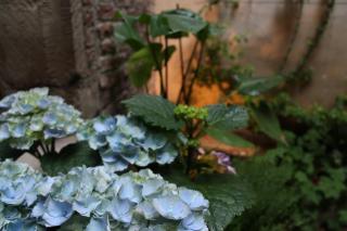 Holiday Homes Goddaard - Antwerp - 5