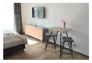 SGL apartments Lavickova - 8