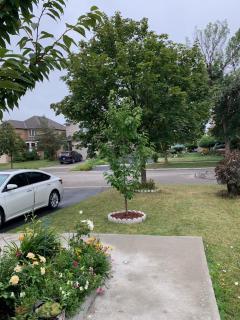 Clean, Beautiful & Modern 2 bedroom apartment - 4