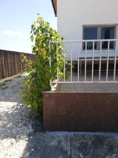 Vila Ekooos - Brasov - 3