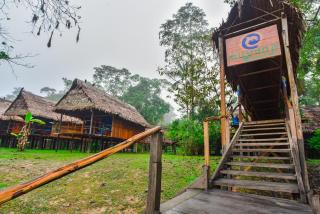 Amazon Muyuna Lodge - All Inclusive - Paraíso - 3