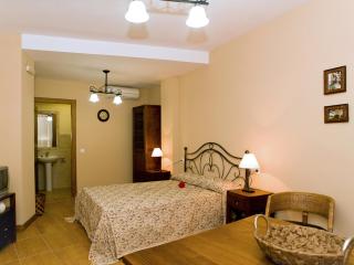 Apartamentos Rurales La Vera - 1