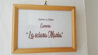 AGRITURISMO LE ZORLESCHE - Camisano - 8