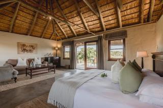 Hlosi Game Lodge - Amakhala Game Reserve - Amakhala Game Reserve - 5
