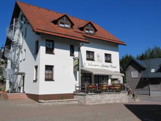 Rennsteighotel Grüner Baum - Schmiedefeld am Rennsteig - 8