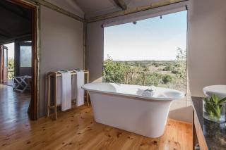 Hlosi Game Lodge - Amakhala Game Reserve - Amakhala Game Reserve - 8