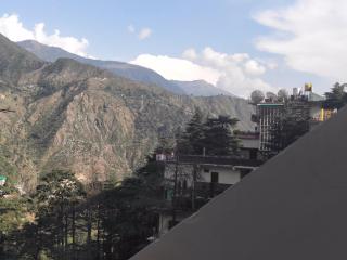 Hotel Hillora Mcleodganj - McLeod Ganj - 3