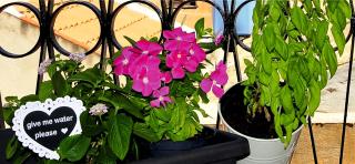 Romantic House - Cagliari - 7