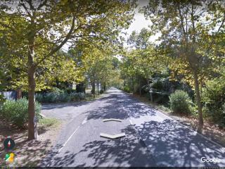 Campo al Cerro - Bolgheri - 8