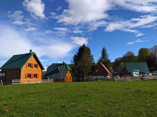 Family Farm Apartments - Žabljak - 6
