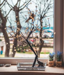 Luxury with sea view - Pula - 0