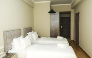 Teryan Pushkin Apart Hotel - Erevan - 3