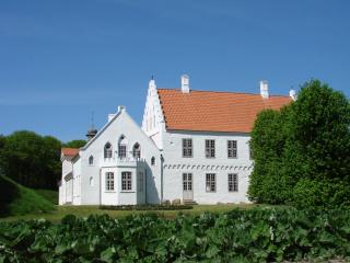 Nørre Vosborg Hotel & Gastronomi - Vemb - 1