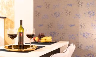 Jacuzzi studio apartman Mare's - Zagreb - 4